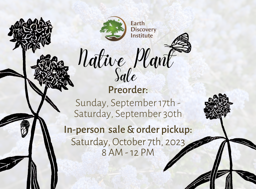 native-plant-sale